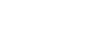 Wellis White cut out logo